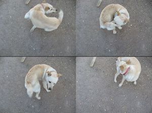 Photo: kun4tor@Flickr