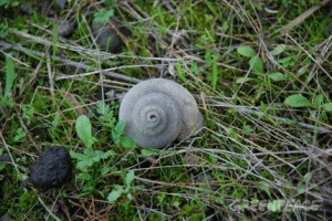 Mind your step please!