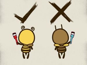 Photo: Flying Mouse2007/Flickr