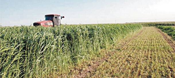 Στον αέρα το DNA της ελληνικής φύσης