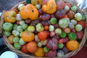 Agricultural Products