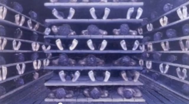 Εικόνα 2. Αναπαράσταση καταστρώματος δουλεμπορικού πλοίου.